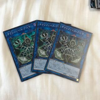 サクリファイス・アニマ