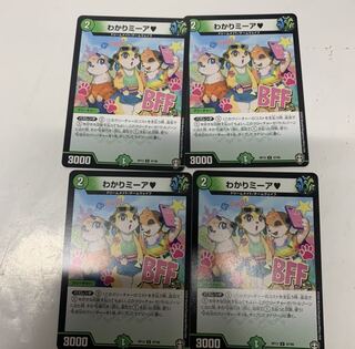 わかりミーア4枚セット