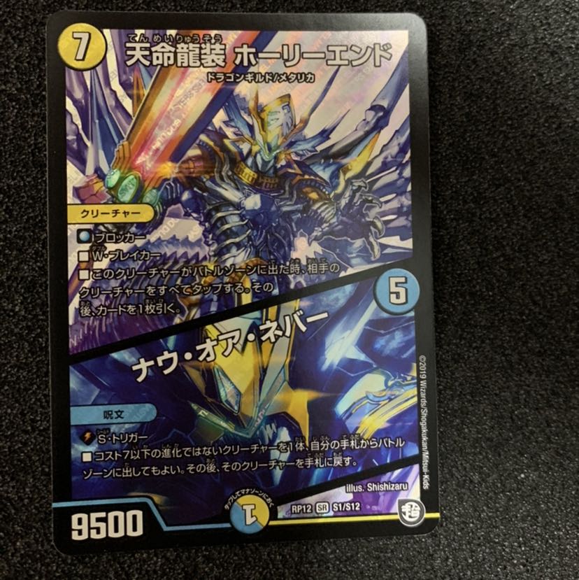 天命龍装 ホーリーエンド/ナウ・オア・ネバー(専用)
