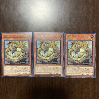 天威龍-アーダラ R