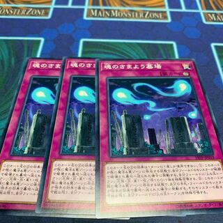 魂のさまよう墓場