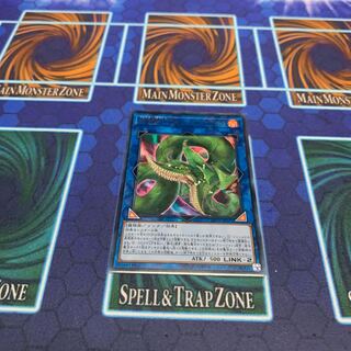 捕食植物ヴェルテ・アナコンダ