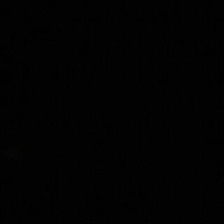 ウサブレラ 専用