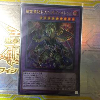 捕食植物トリフィオヴェルトゥム UR