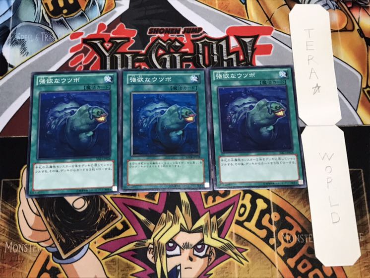 強欲なウツボ ノーマル 3枚セット てら