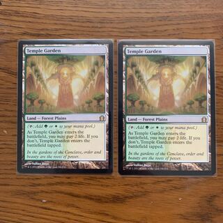 れーずん様専用　寺院の庭