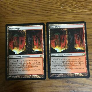 1319006695様専用　血の墓所2枚