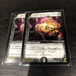 荒廃の巨王ジェノサイド2枚