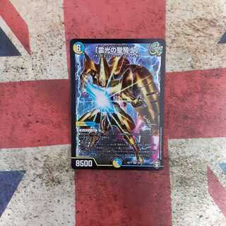 「雷光の聖騎士」