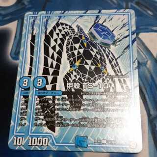 甲殻 TS-10 2枚