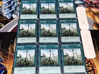 竜の霊廟 ノーマル 9枚セット てら