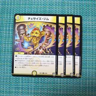 チェサイズ・ジム ４枚セット1179