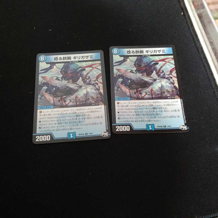 唸る鉄腕 ギリガザミ R