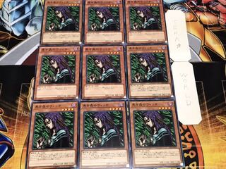 黒き森のウィッチ ノーマル 9枚セット てら