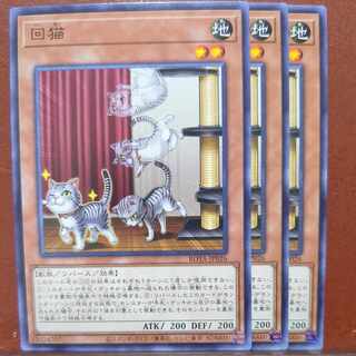 Kaiten Normal ROTA-JP026