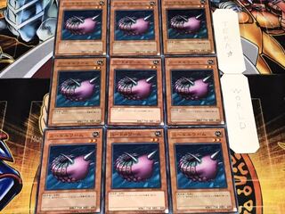 ニードルワーム ノーマル 9枚セット てら