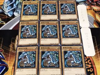 青眼の白龍 ノーマル 9枚セット てら