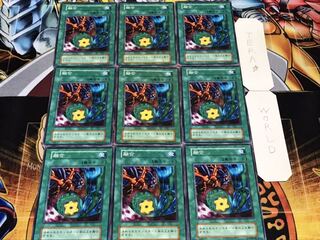 融合 初期 ノーマル 9枚セット てら