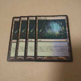 【状態悪】霧深い雨林 ４枚セット
