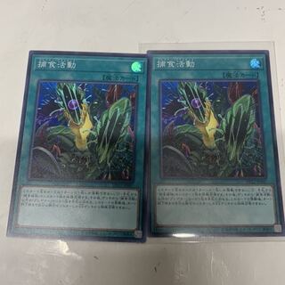 捕食活動2枚セット