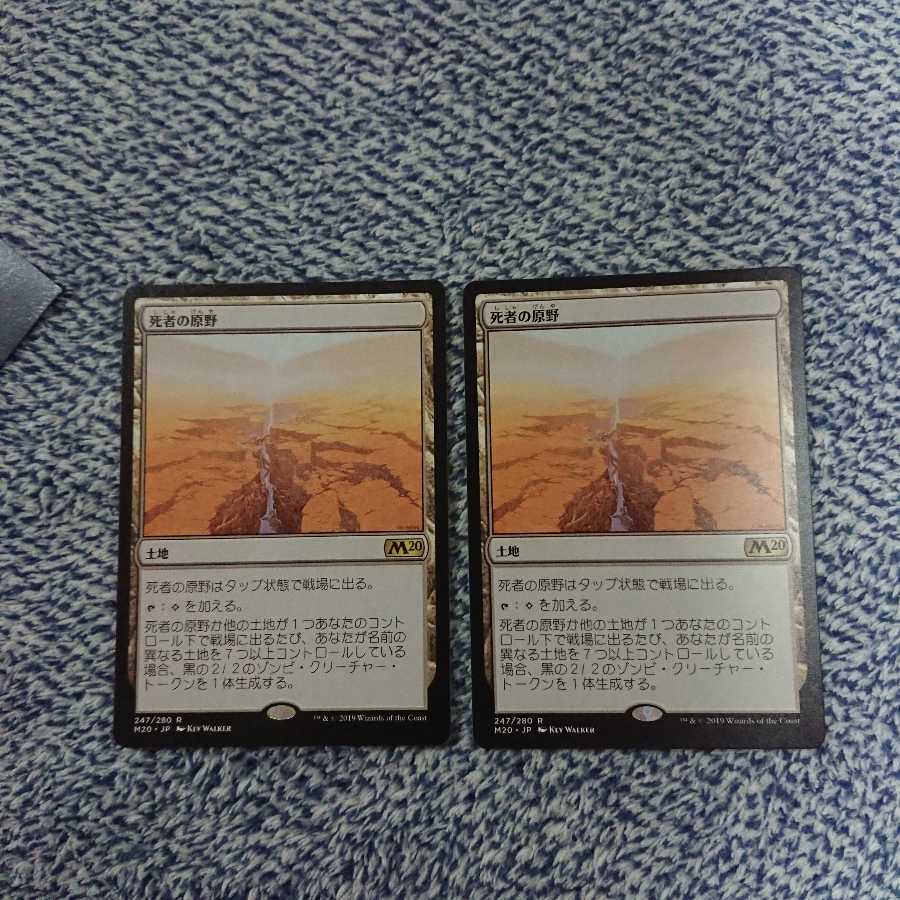 死者の原野 2枚セット