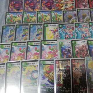 ネイチャーヴァイカーGR付き