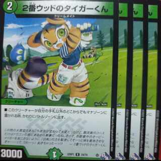 goa set discount Tiger-kun on #2 wood R 24/74