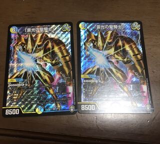 「雷光の聖騎士」