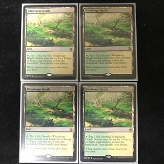 吹きさらしの荒野/Windswept Heath KTK英4枚