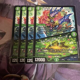 摩破目 ナトゥーラ・トプス｜ストンピング・ウィード　4枚