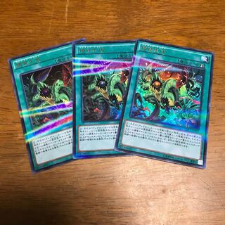 Predaplast P-UR 3 sheets fdkj1920