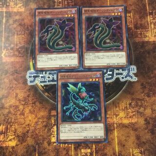 遊戯王★捕食植物オフリス・スコーピオ、ダーリング・コブラ★三枚セット★