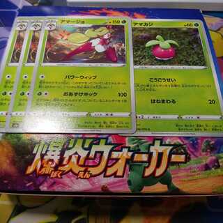 アマージョ 3枚 アマカジ 1枚 セット