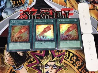 鳳凰神の羽根 スーパー 3枚セット てら