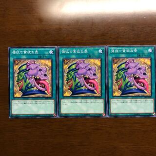 強欲で貪欲な壺 N 3枚