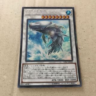 マドレース 白闘気白鯨 CR