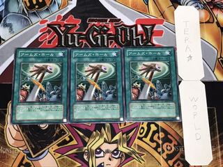 アームズ・ホール ノーマル 3枚セット てら