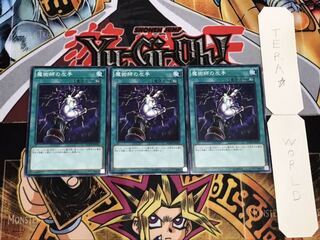 魔術師の左手 ノーマル 3枚セット てら