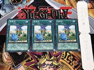 増草剤 ノーマル 3枚セット てら