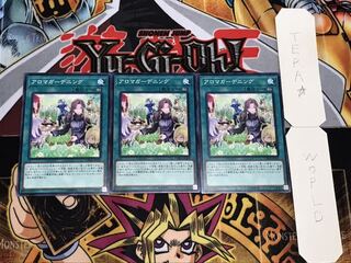 アロマガーデニング ノーマル 3枚セット てら