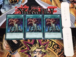 捕食接ぎ木 ノーマル 3枚セット てら