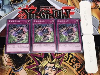 天威無双の拳 ノーマル 3枚セット てら