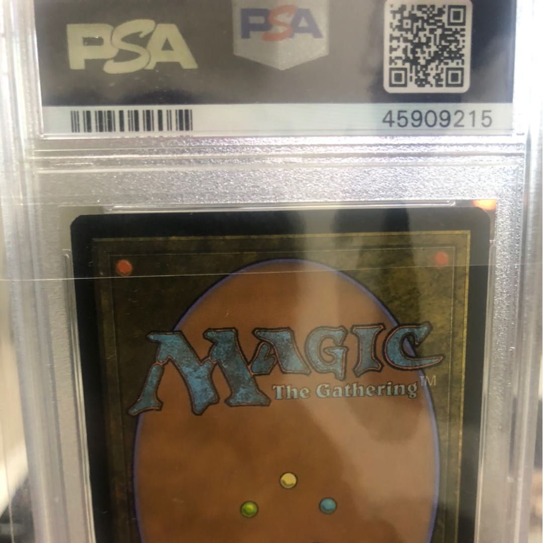 俊葵様専用　WPN.P.P版foil覆いを割く者、ナーセットPSA10