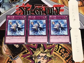 潤いの風 ノーマル 3枚セット てら