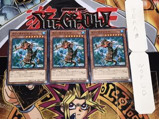 タツノオトシオヤ ノーマル 3枚セット てら