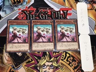 薔薇恋人 ノーマル 3枚セット てら