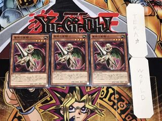 薔薇の聖騎士 ノーマル 3枚セット てら