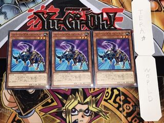 Reversible Beetle Normal 3-piece set Tera