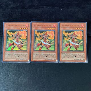 エヴォルテクター シュバリエ SR