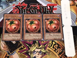 キラー・トマト ノーマル 3枚セット てら